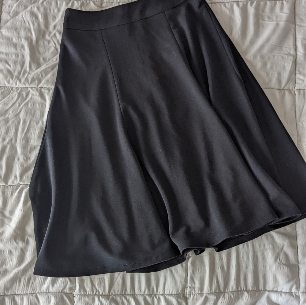 Nwt The Limited A Line Skirt Size S
